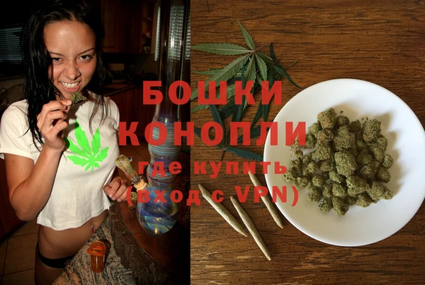 стафф Аркадак