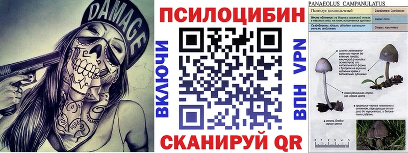кракен зеркало  Пучеж  Псилоцибиновые грибы мухоморы  как найти закладки 